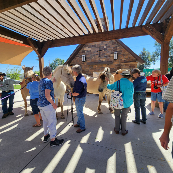 Meeting Starfire Farms Fjord Horses September 2024